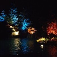 This incredible pool now has custom lighting and a Landscape Series sound system, making it the favorite in their neighborhood!